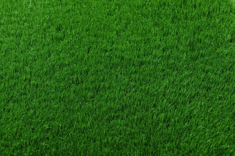 grass backdrop
